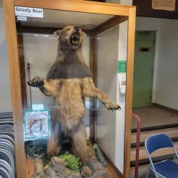 Placerita Canyon Nature Center - Santa Clarita