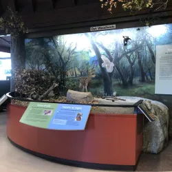 Placerita Canyon Nature Center - Santa Clarita