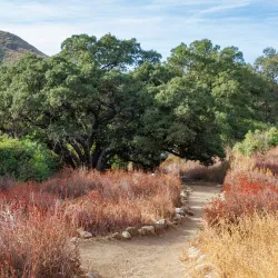 Placerita Canyon Nature Center - Santa Clarita
