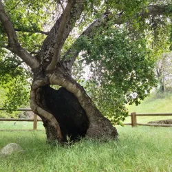 Placerita Canyon Nature Center - Santa Clarita