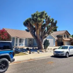 Santa Clarita Valley Historical Society - Santa Clarita