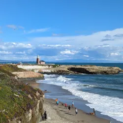 Lighthouse Field State Beach - Santa Cruz