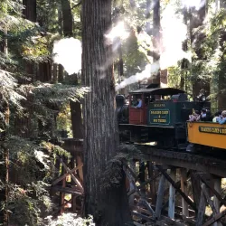 Roaring Camp Railroads - Santa Cruz