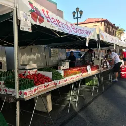 Santa Monica Farmers Market - Santa Monica