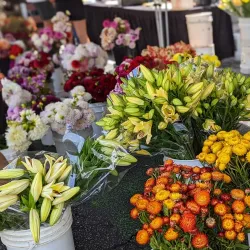 Santa Monica Farmers Market - Santa Monica