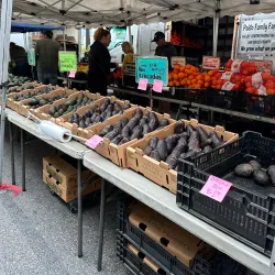 Santa Monica Farmers Market - Santa Monica
