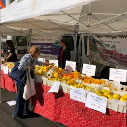 Santa Monica Farmers Market - Santa Monica