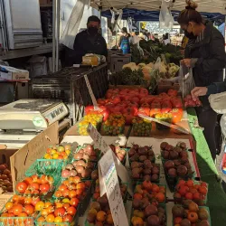 Santa Monica Farmers Market - Santa Monica