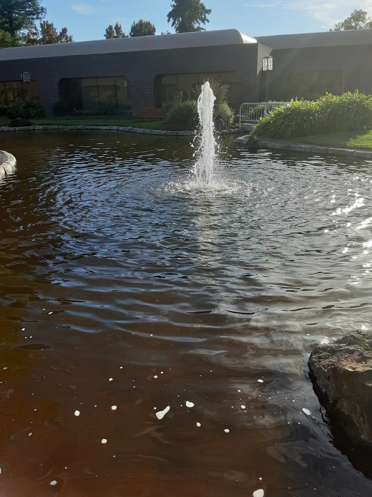 Santa Rosa, CA