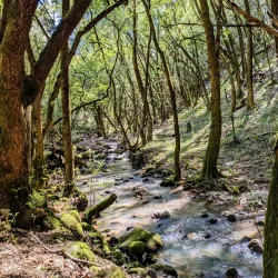 Annadel State Park - Santa Rosa