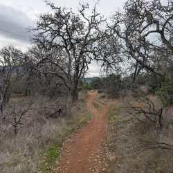Annadel State Park - Santa Rosa