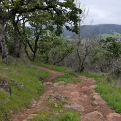 Annadel State Park - Santa Rosa