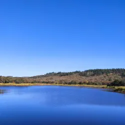 Annadel State Park - Santa Rosa
