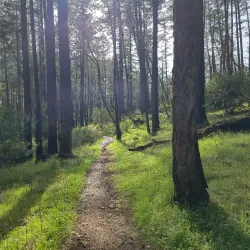 Annadel State Park - Santa Rosa