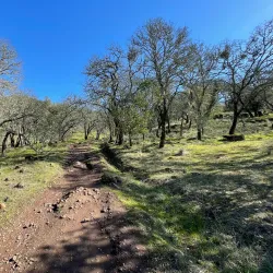 Annadel State Park - Santa Rosa