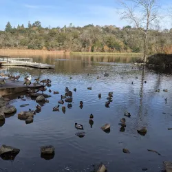 Howarth Park - Santa Rosa