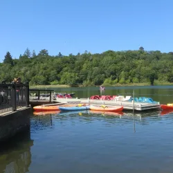 Howarth Park - Santa Rosa