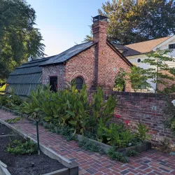 Luther Burbank Home & Gardens - Santa Rosa