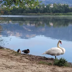 Spring Lake Regional Park - Santa Rosa