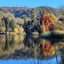 Spring Lake Regional Park - Santa Rosa