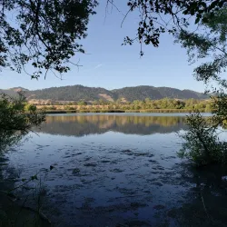 Spring Lake Regional Park - Santa Rosa