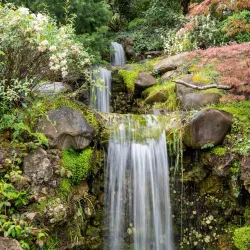 Hakone Estate and Gardens - Saratoga