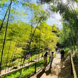 Hakone Estate and Gardens - Saratoga