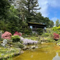Hakone Estate and Gardens - Saratoga