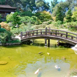 Hakone Gardens Tea House - Saratoga