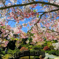 Hakone Gardens Tea House - Saratoga