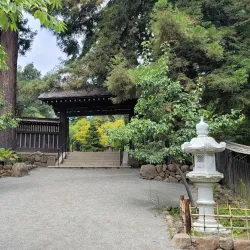 Hakone Gardens Tea House - Saratoga