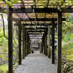 Hakone Gardens Tea House - Saratoga
