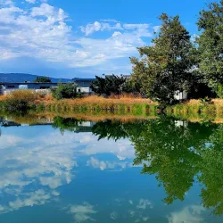 Los Gatos Creek Trail - Saratoga