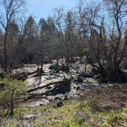 Los Gatos Creek Trail - Saratoga