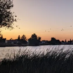 Los Gatos Creek Trail - Saratoga