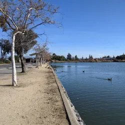 Los Gatos Creek Trail - Saratoga