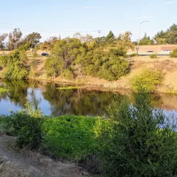 Los Gatos Creek Trail - Saratoga