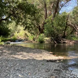 Los Gatos Creek Trail - Saratoga