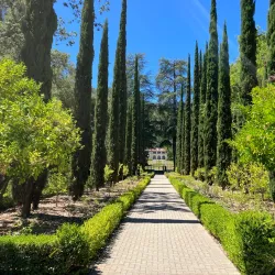 Montalvo Arts Center - Saratoga