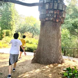 Montalvo Arts Center - Saratoga