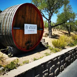 Mountain Winery - Saratoga