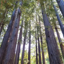 Sanborn County Park - Saratoga
