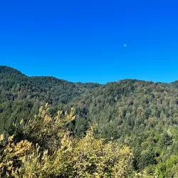 Sanborn County Park - Saratoga