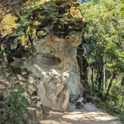Sanborn County Park - Saratoga