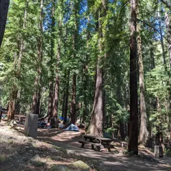 Sanborn County Park - Saratoga