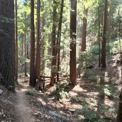 Sanborn County Park - Saratoga