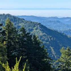 Sanborn County Park - Saratoga