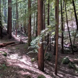 Sanborn County Park - Saratoga