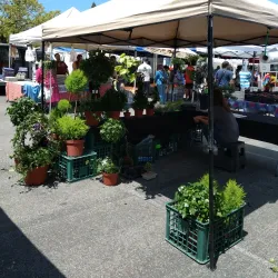 Saratoga Farmers' Market - Saratoga