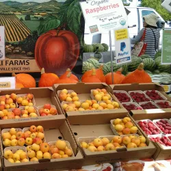 Saratoga Farmers' Market - Saratoga